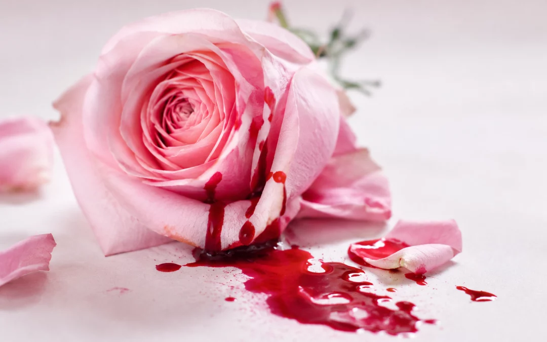 Rose rose délicate laissant couler un liquide rouge sur des pétales épars, symbole visuel des blessures émotionnelles, de la souffrance intérieure et du processus de guérison.